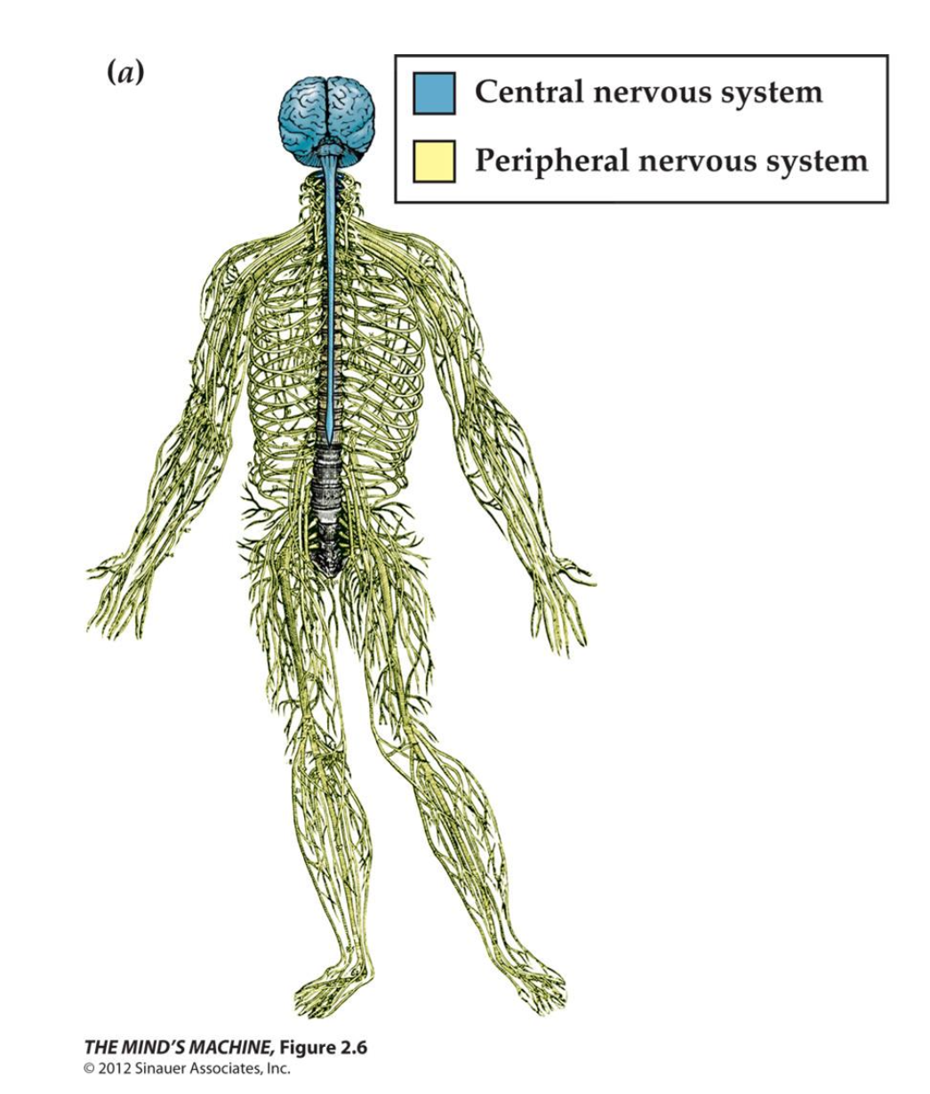 截屏2026-03-25 16.11.58.png
