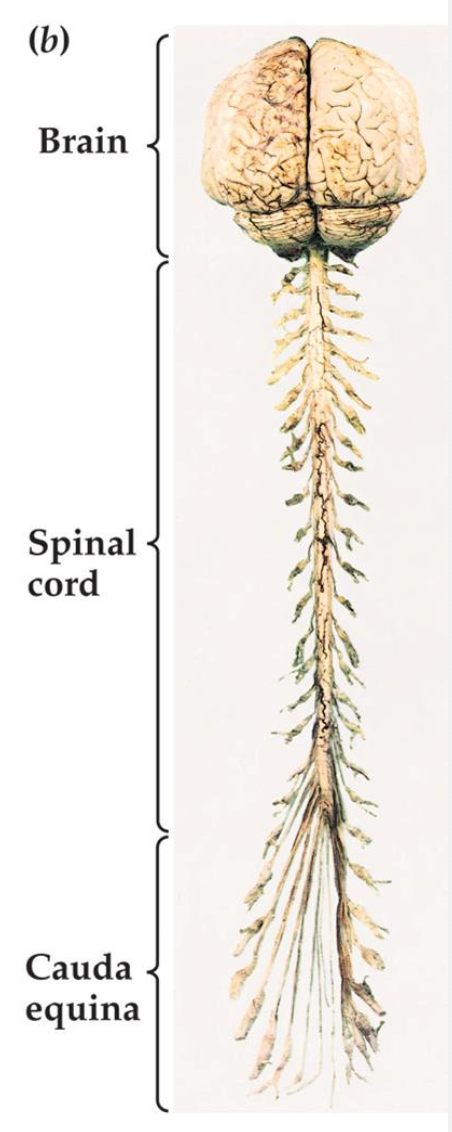 截屏2026-03-25 16.14.31.png200